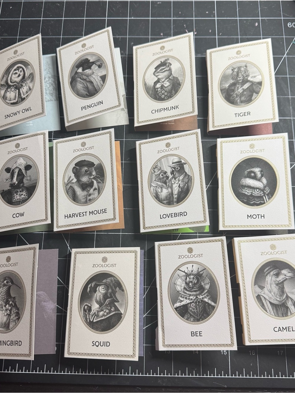 Zoologist Samples (12 total)